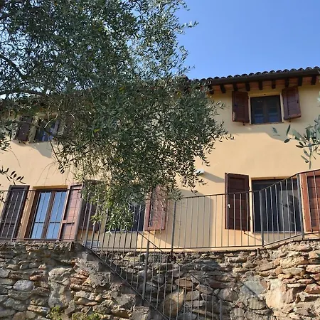 Private Casale With Infinity Pool In Olive Grove * Vicopisano